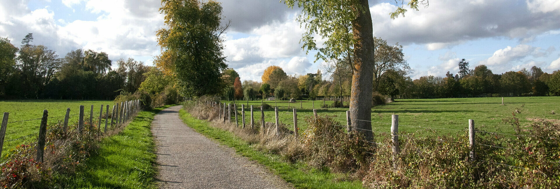 Bords de l'Eure