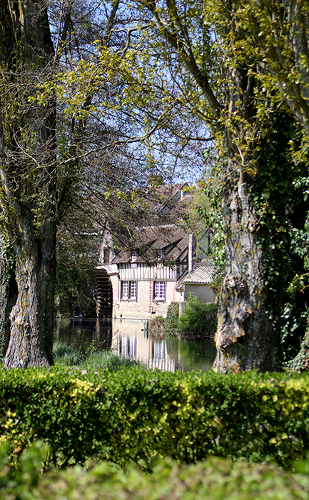 Description de l'image