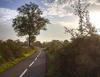 La piste cyclable