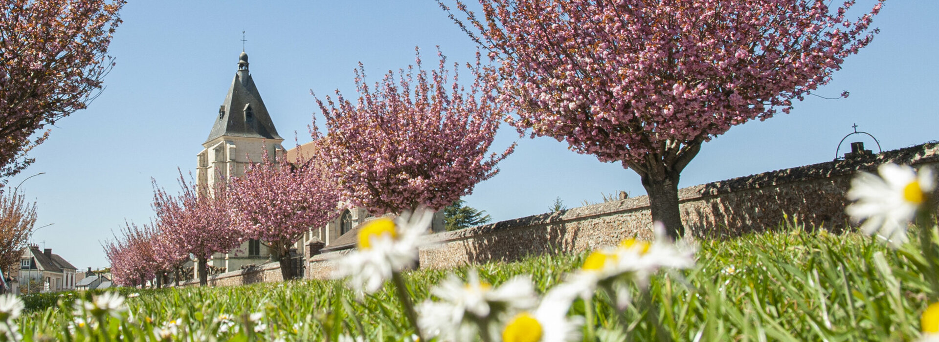 Concours Maisons fleuries